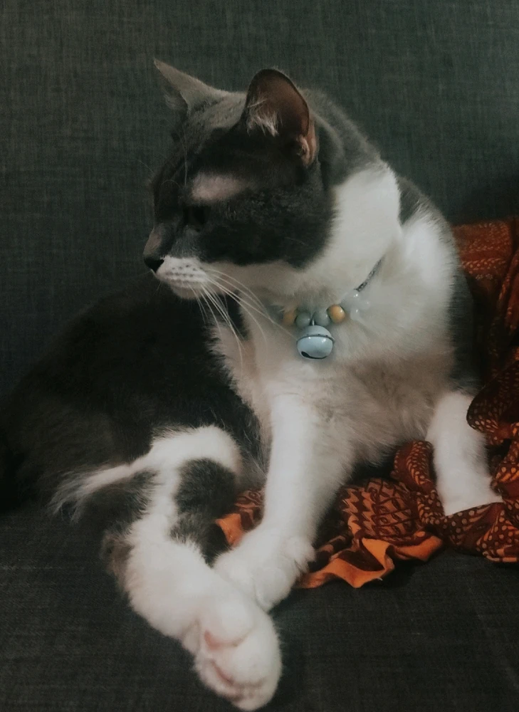 GIF uploaded by 𝓢𝓮𝓻𝓮𝓷 • 𝓢𝓮𝓻𝓮𝓷𝓭𝓲𝓹𝓲𝓽𝔂