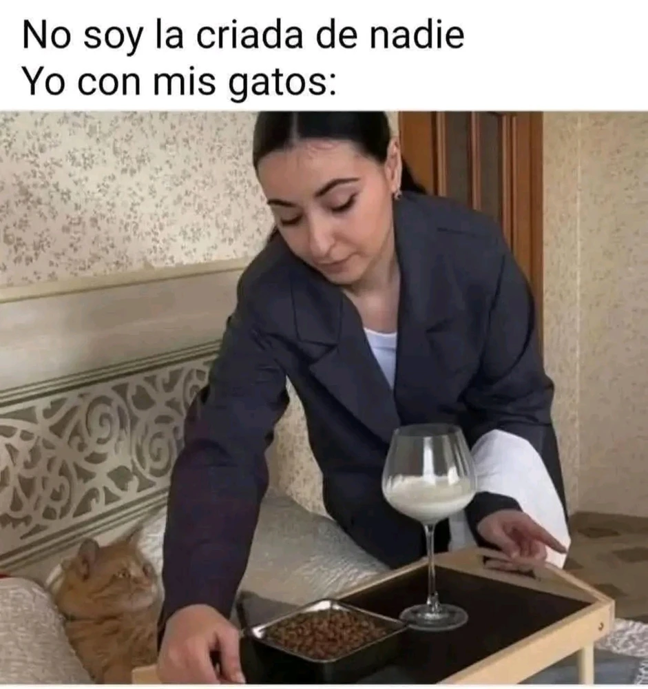 GIF subido por ❤ Sophia aka Mango Mami ❤️