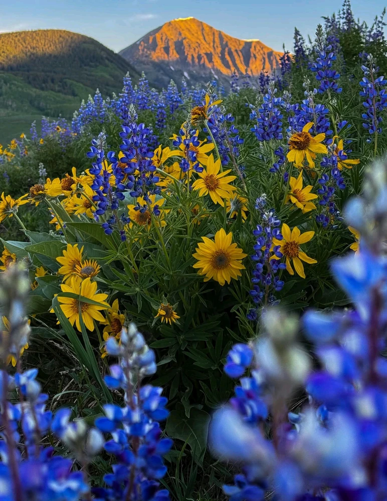 GIF ajouté par Ꭻລԁ𝙚