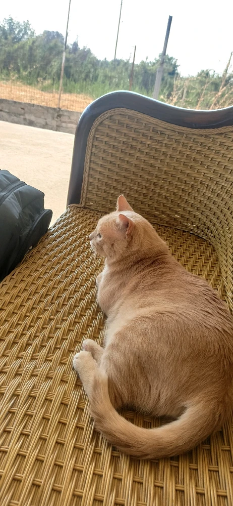 GIF uploaded by Gökhan