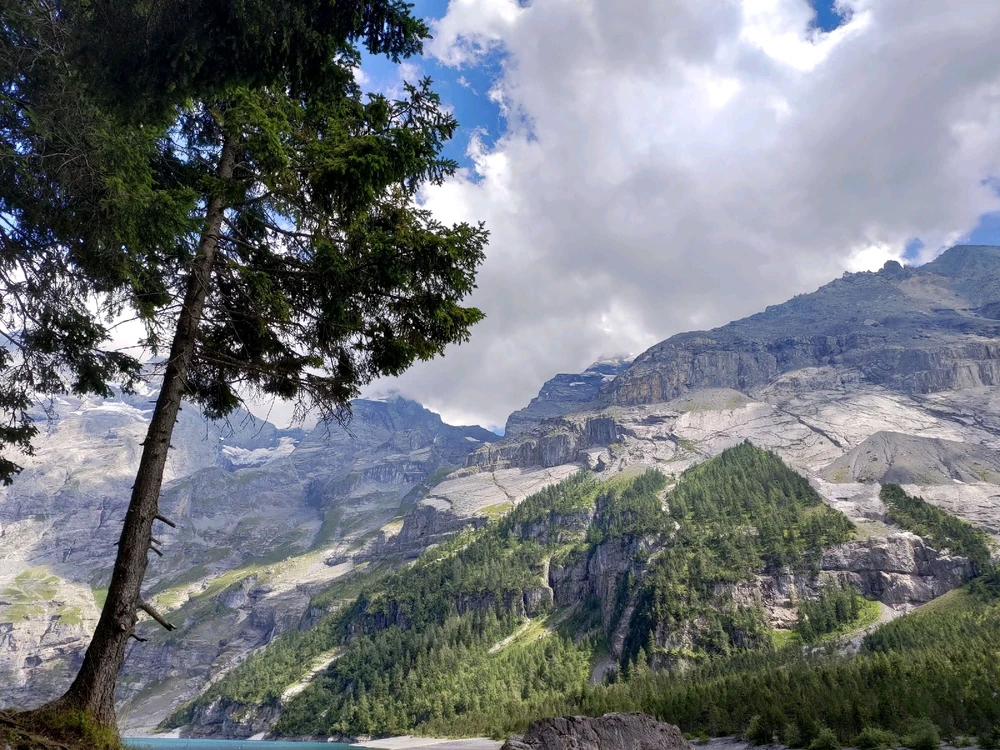 Image uploaded by Nicole