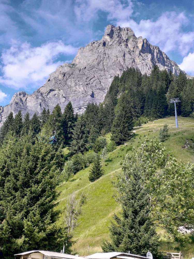 Image uploaded by Nicole