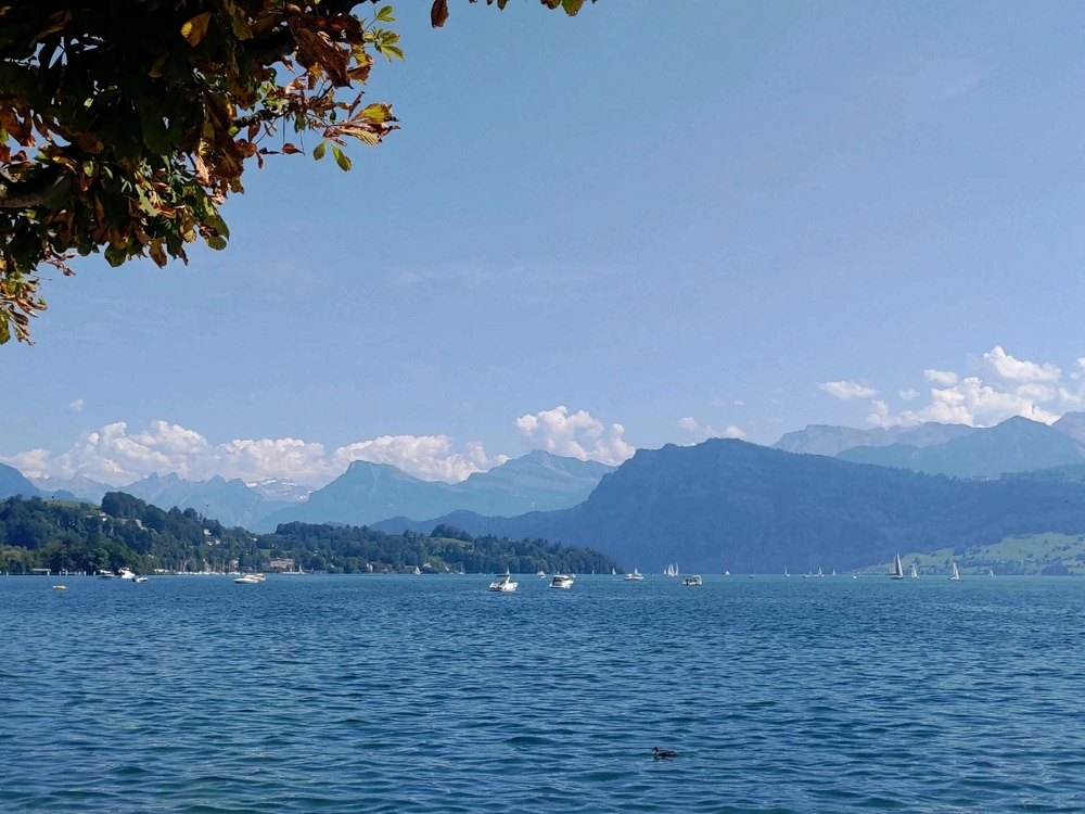 Image uploaded by Nicole