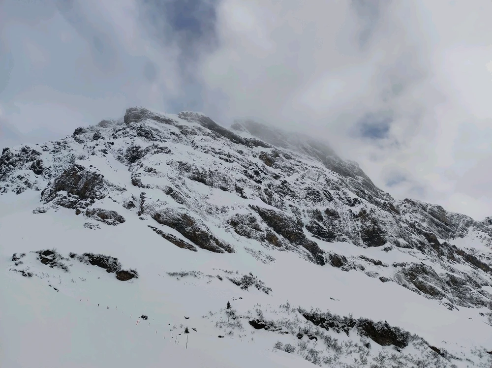 Image uploaded by Nicole