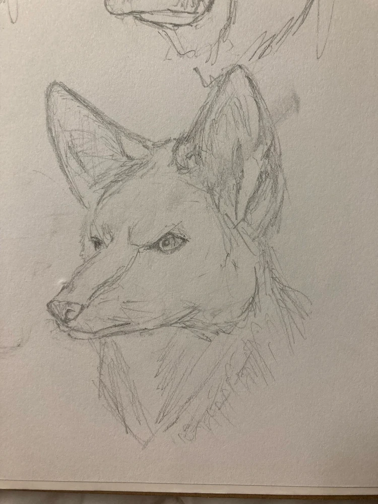 GIF uploaded by Cael