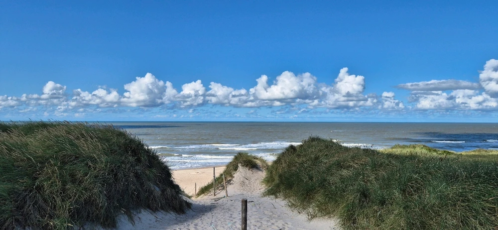 Bild hochgeladen von 𝕾𝖆𝖇𝖚