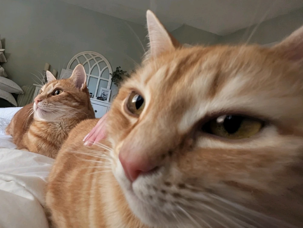GIF uploaded by Melissa