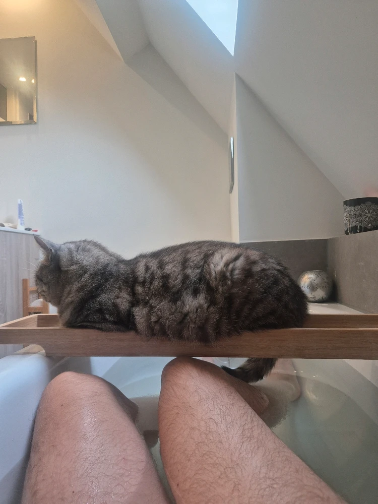 GIF geüpload door Maurice