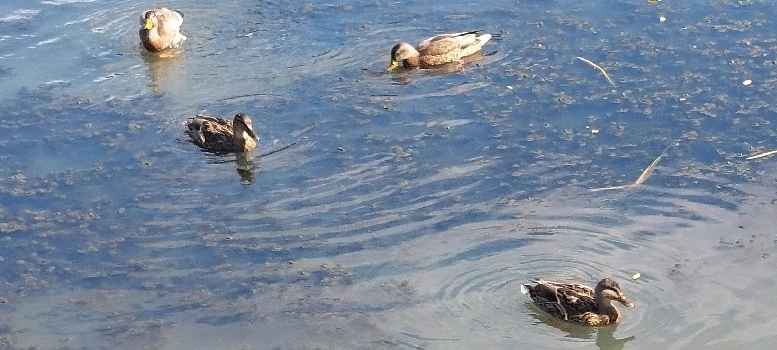 Zdjęcie dodane przez Mikołaj