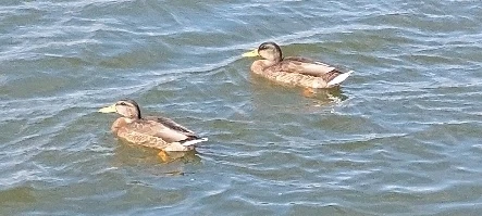 Us?🤔🤔🤔 ahaha jk. Unless???