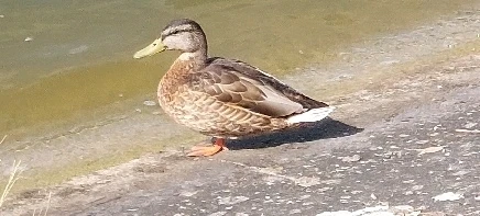 Zdjęcie dodane przez Mikołaj