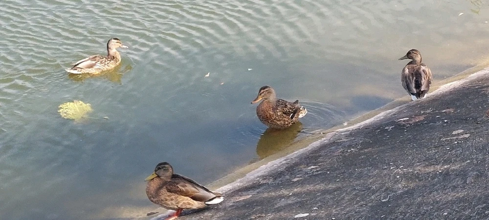 Zdjęcie dodane przez Mikołaj