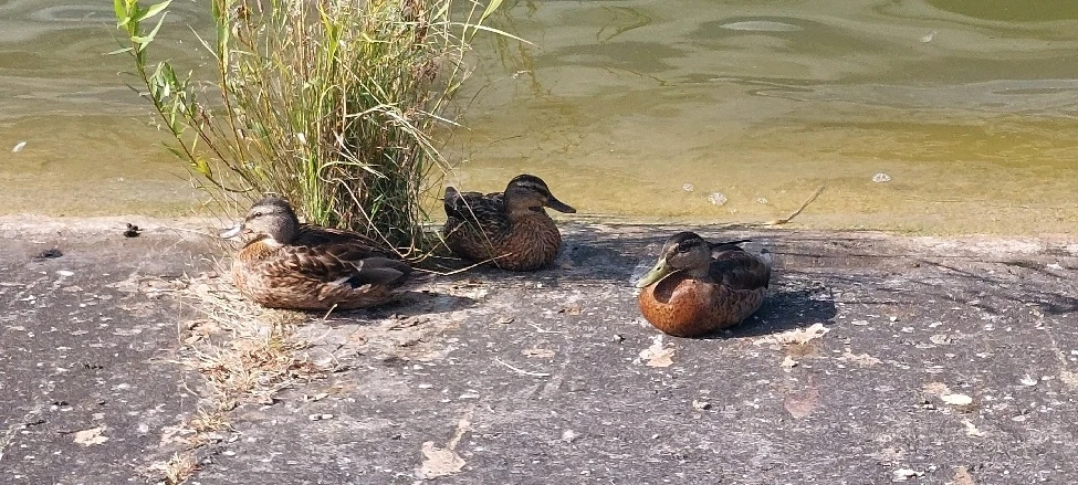Zdjęcie dodane przez Mikołaj