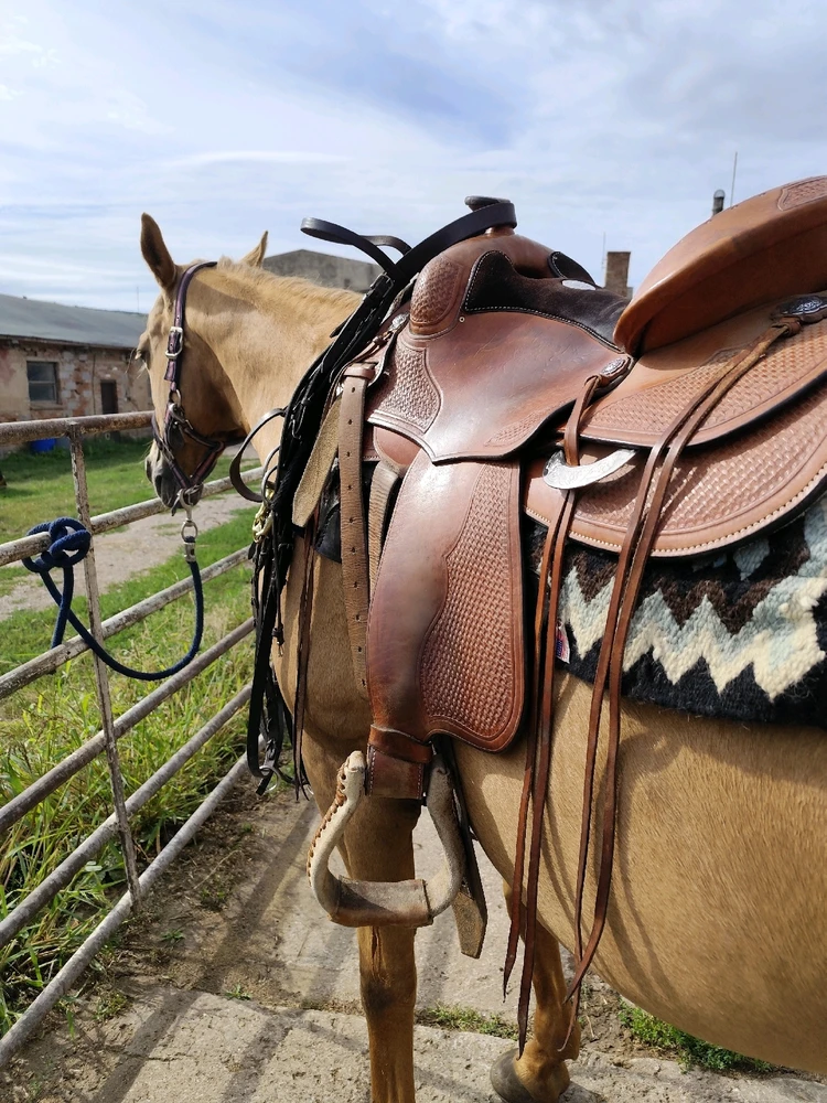 GIF uploaded by Kozlík