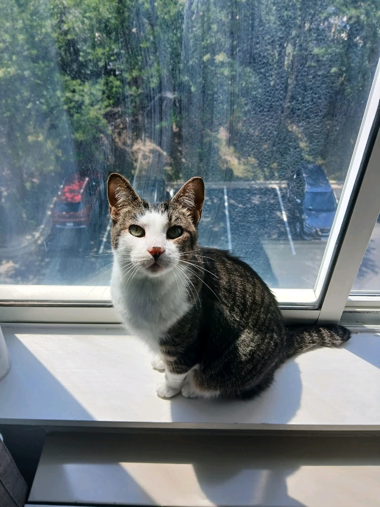 GIF diunggah dening Spike