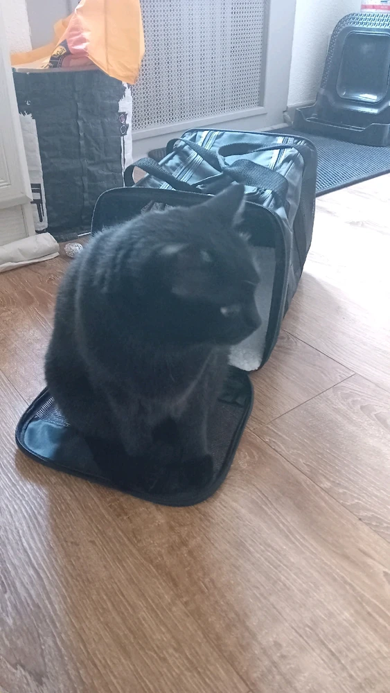 GIF ajouté par Stephe