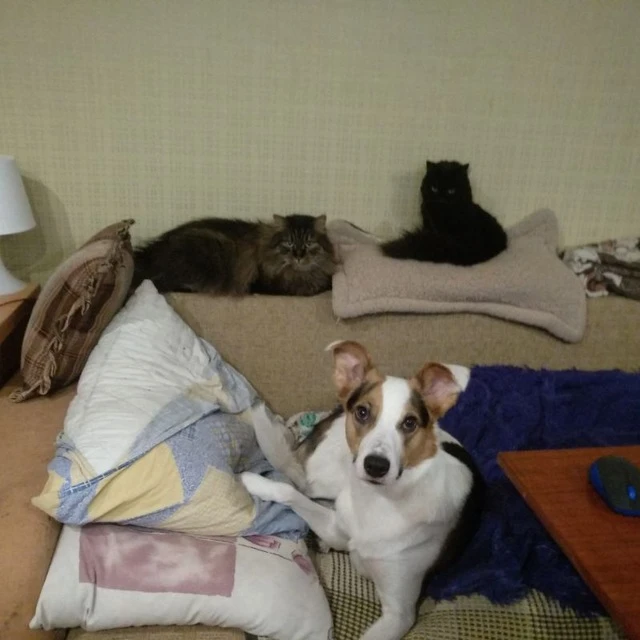 Фото загрузил Sergey