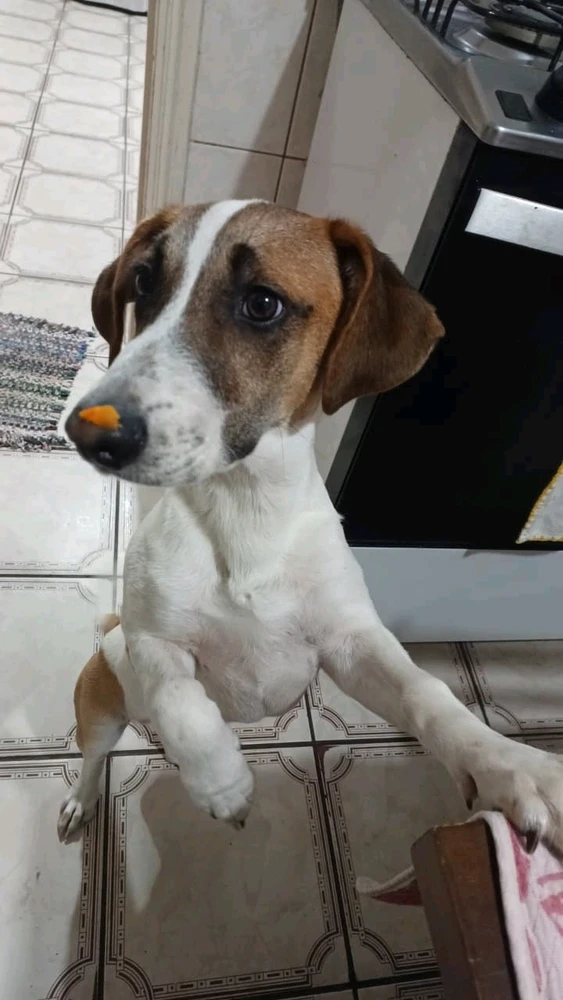 GIF enviado por Daniele