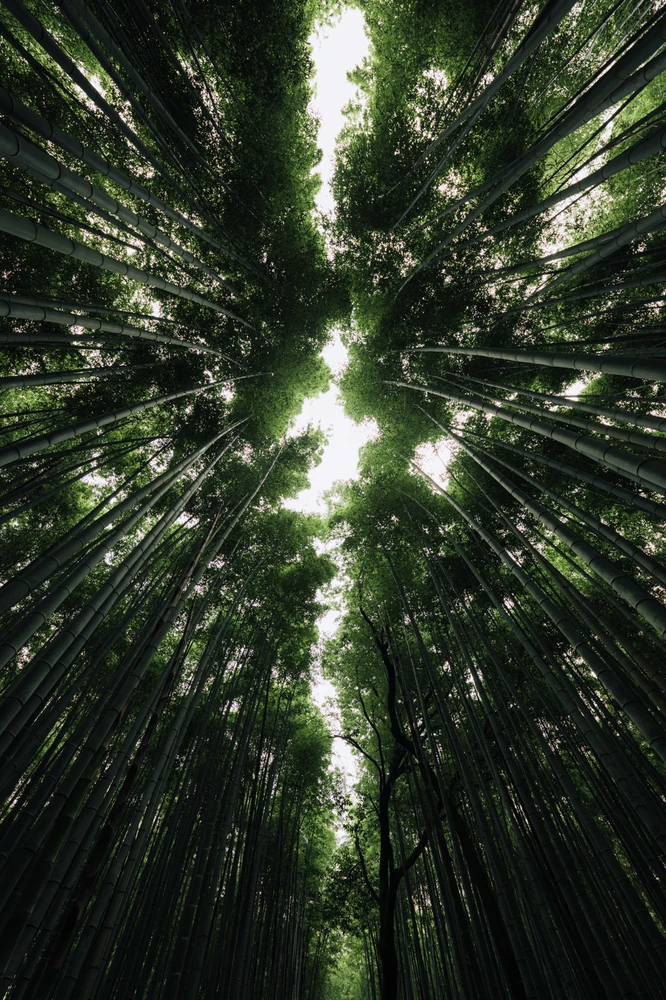 GIF uploaded by Andreas