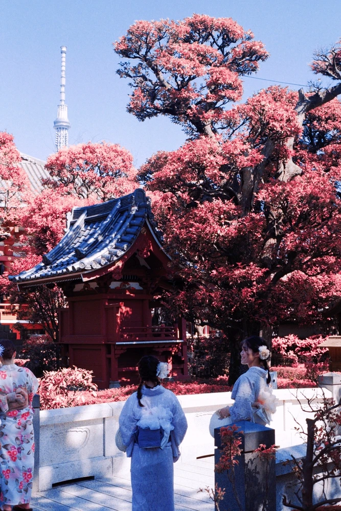 Süha tarafından yüklenen GIF