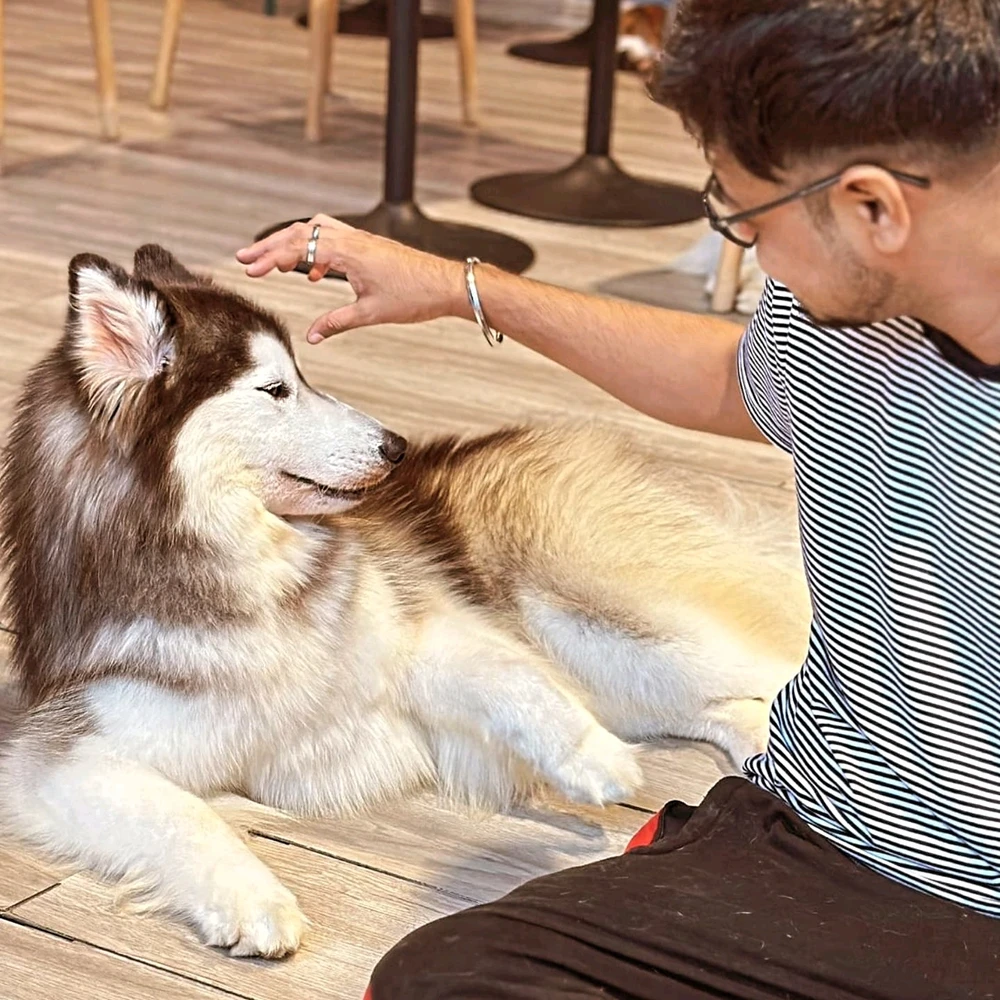 GIF uploaded by Bose