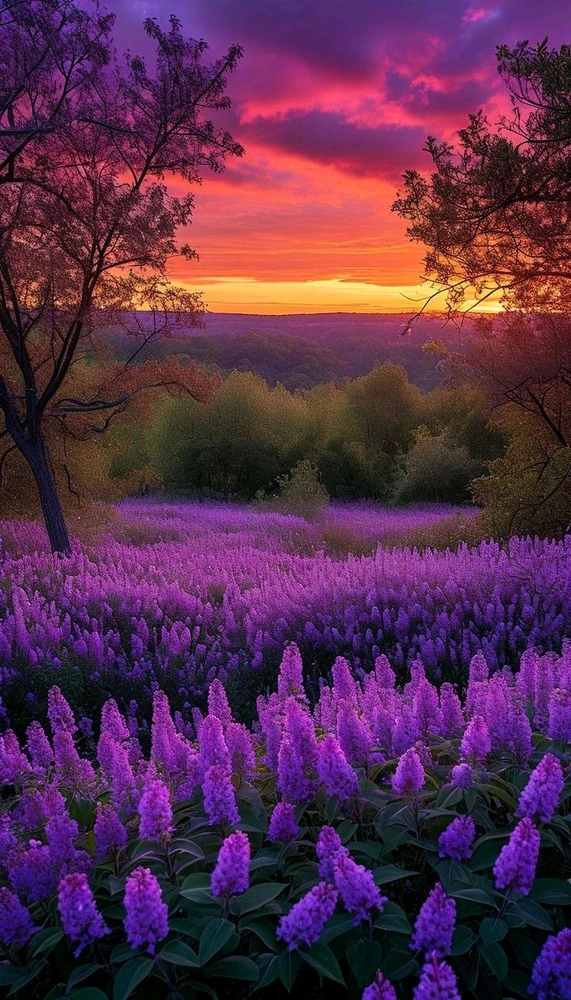 GIF uploaded by Liza