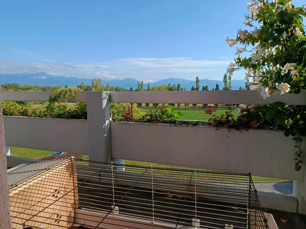 Obrázek nahrál ZuzanaJamaris