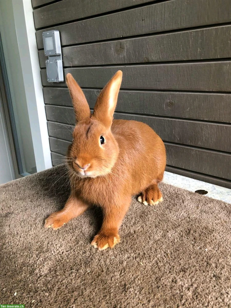 Obrázek nahrál ZuzanaJamaris