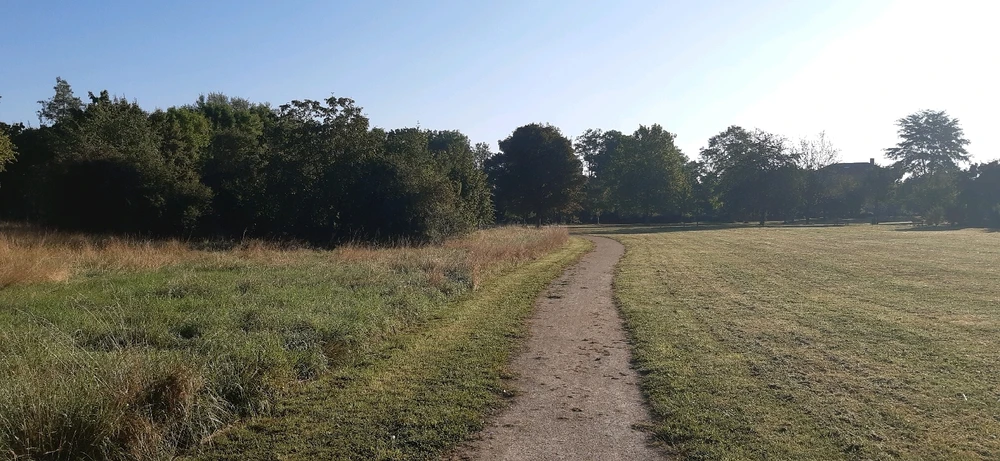 GIF ajouté par Thomas