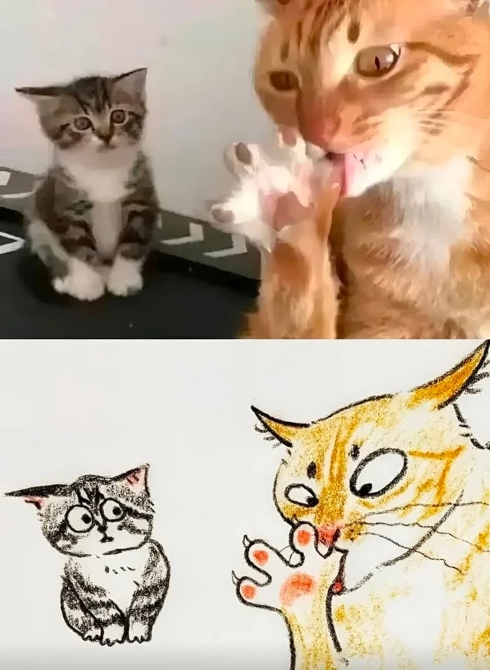 Image uploaded by Tomáš