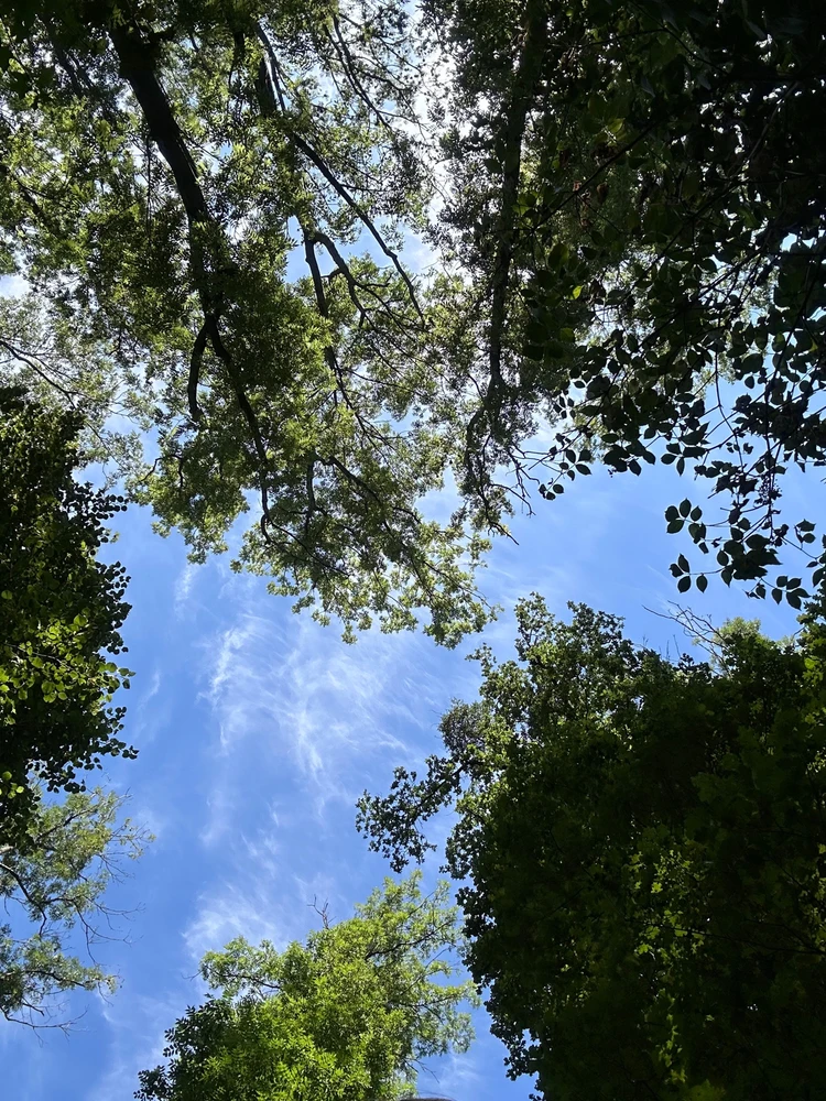 Obrázek nahrál Ⓜ