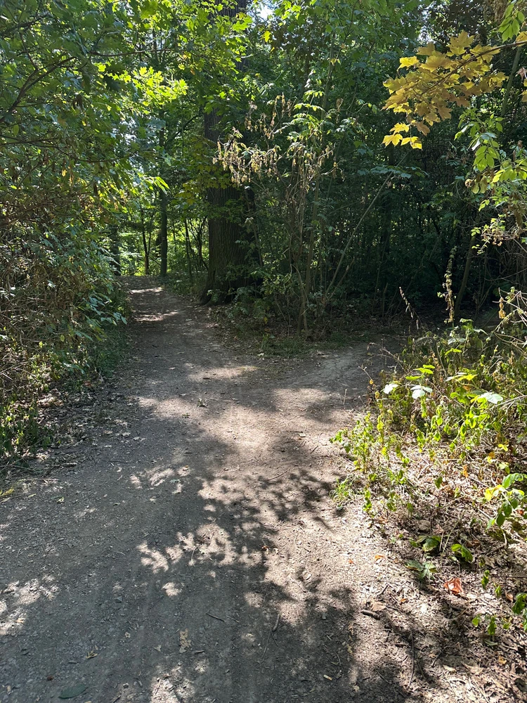 Obrázek nahrál Ⓜ