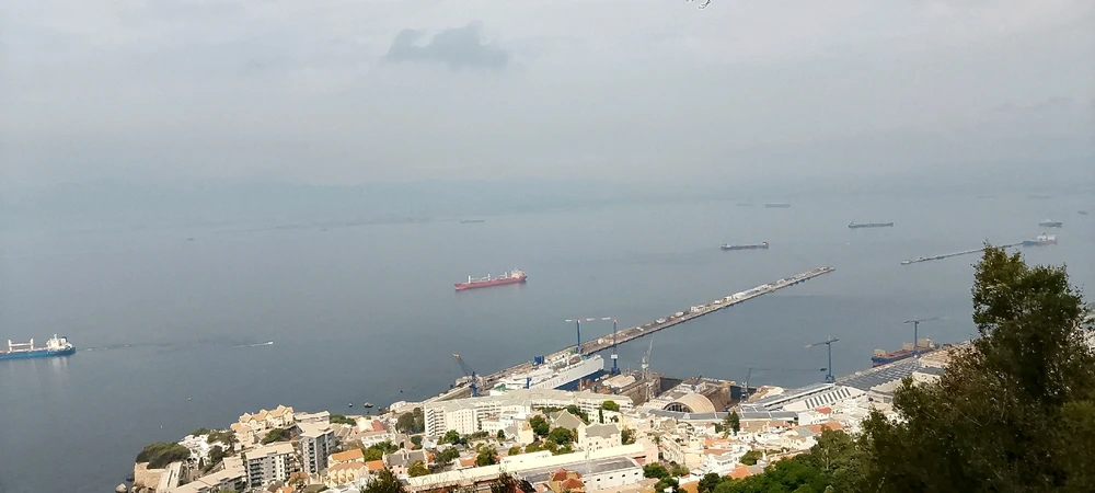 Image uploaded by Jake