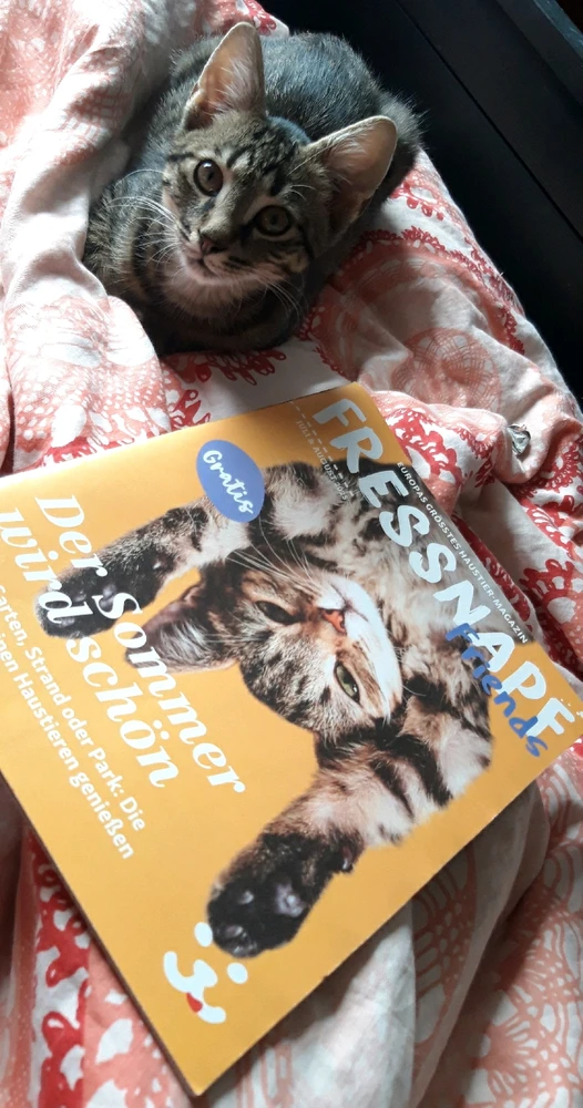 GIF hochgeladen von Marron