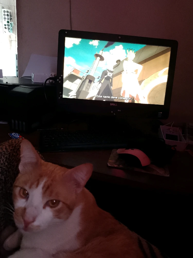 GIF enviado por Kelly