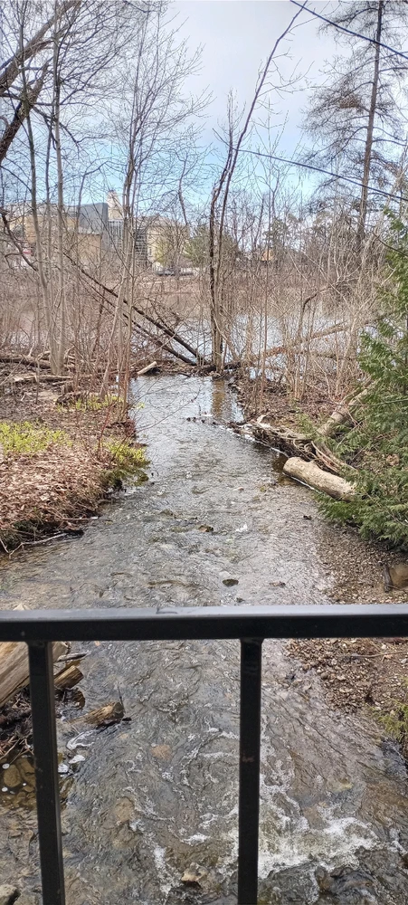 This brook do be babbling