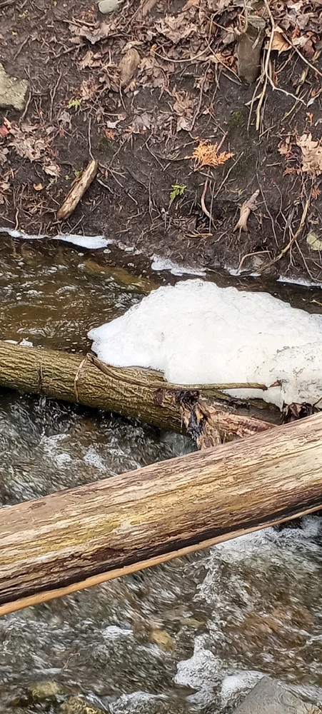 A nice, frothy river