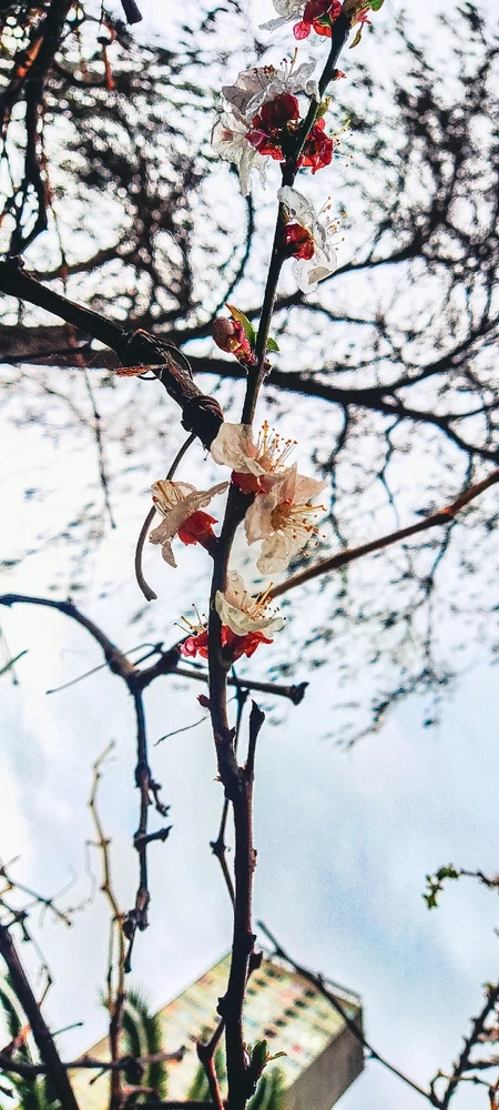 GIF subido por Ziiomh