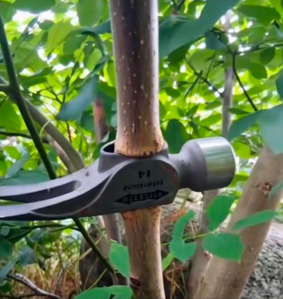 GIF uploaded by Darius