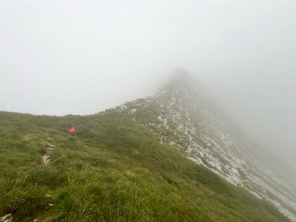 Immagine caricata da Raffaele