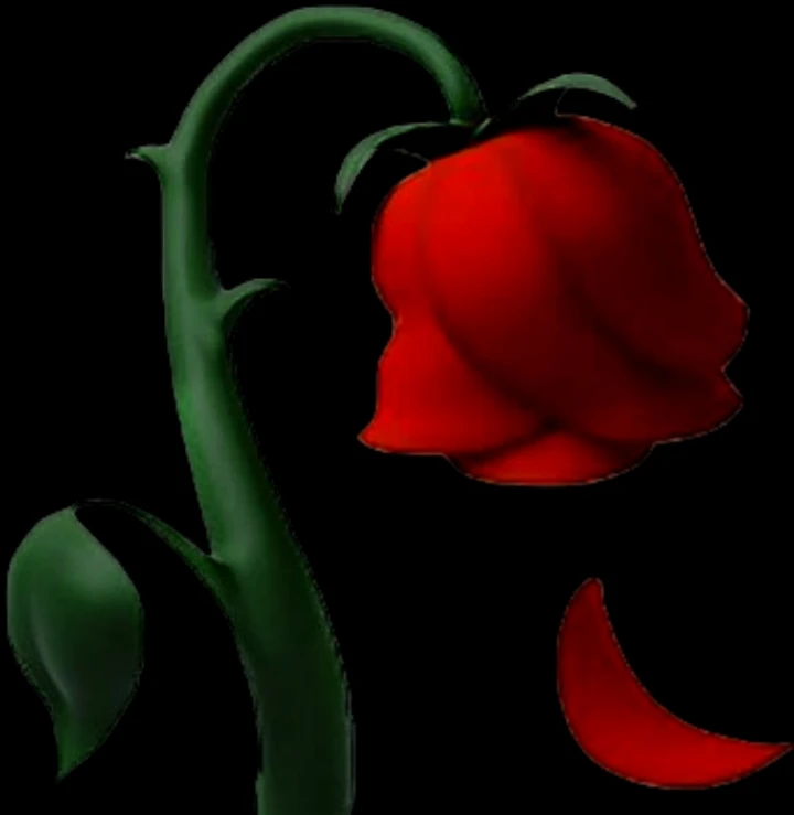 GIF gi-upload ni Rose