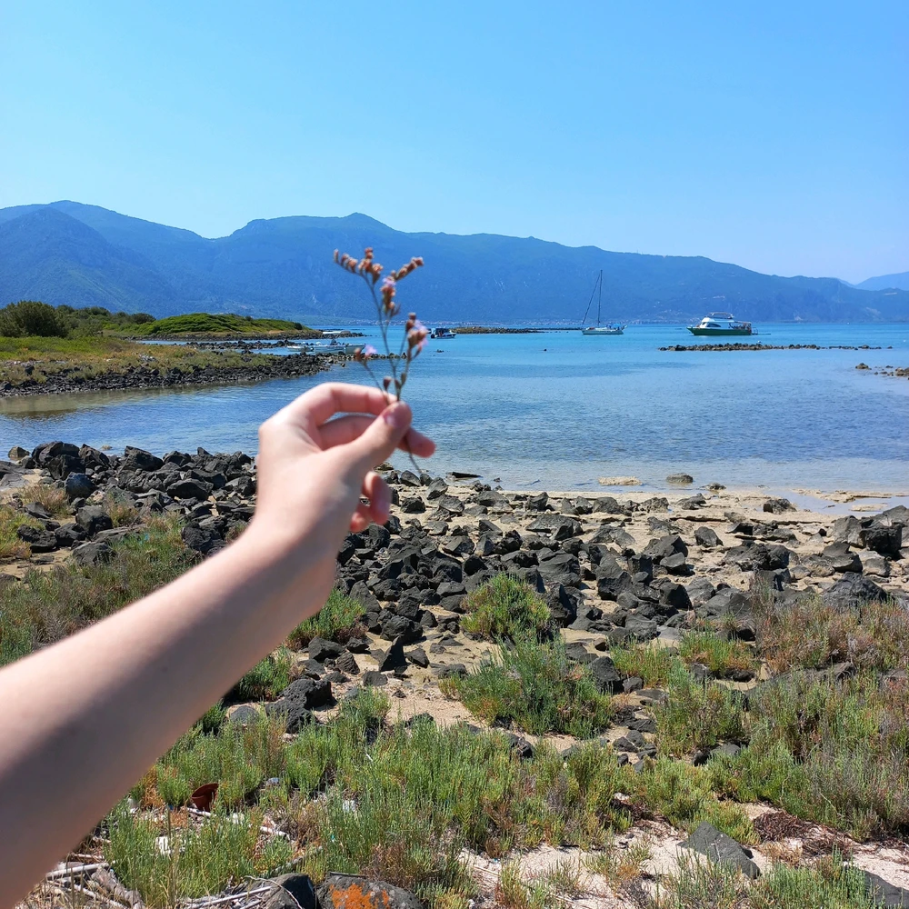 GIF uploaded by Tata