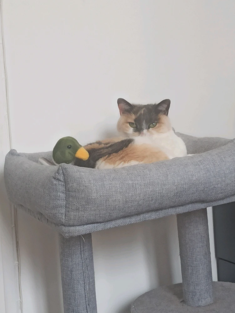 Drôle de photo 😂