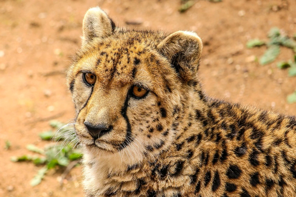 GIF uploaded by Kris