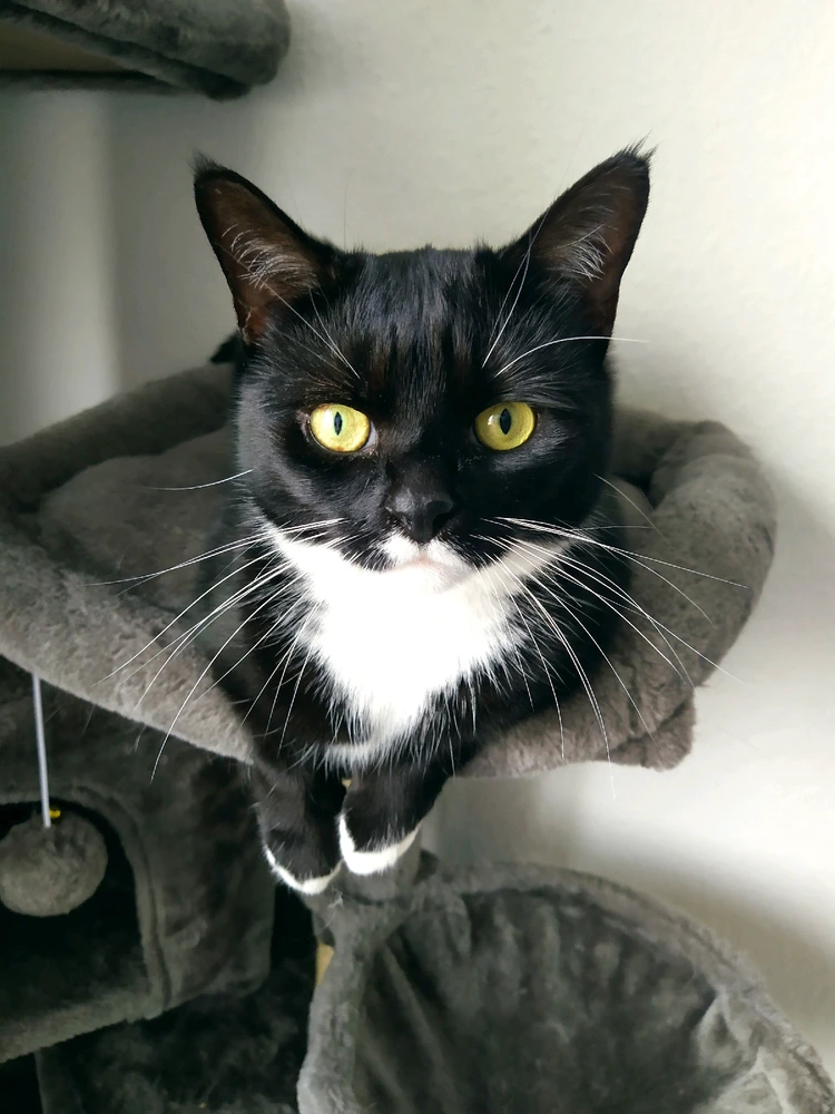 Bild hochgeladen von Jason