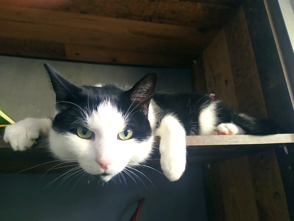 Bild hochgeladen von Jason