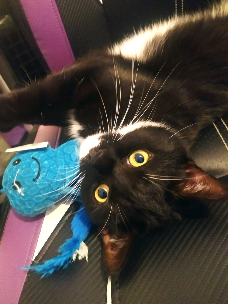 Bild hochgeladen von Jason