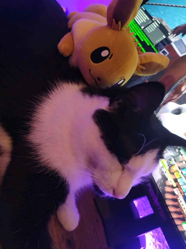 Bild hochgeladen von Jason