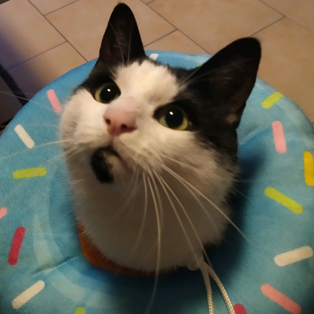 Bild hochgeladen von Jason