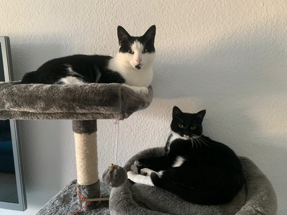 Bild hochgeladen von Jason